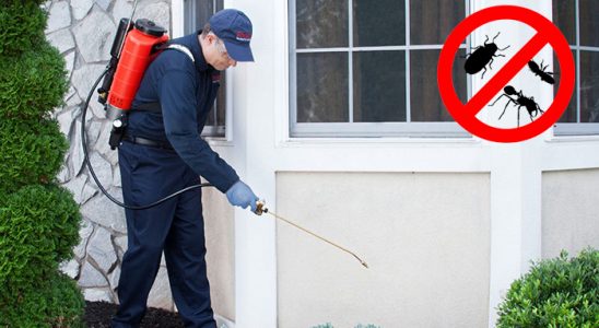Sivaslı Kemirgen İlaçlama böcek ilaçlama ve haşere kontrolü — ilaclama-tr.com